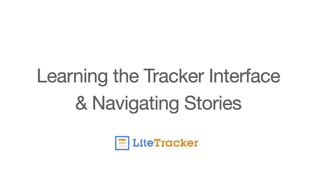 LiteTracker: A Practical Guide to the Tracker Interface